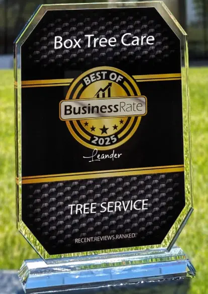 Box Tree Care - Best of Leander TX