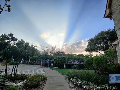 Tree Care services in Cedar Park