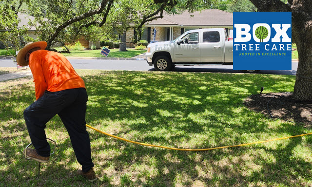 Deep Root Fertilization