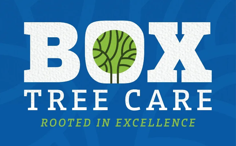 Box Tree Care
